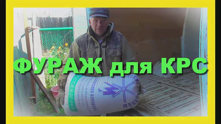 Фуражное зерно  овёс для КРС