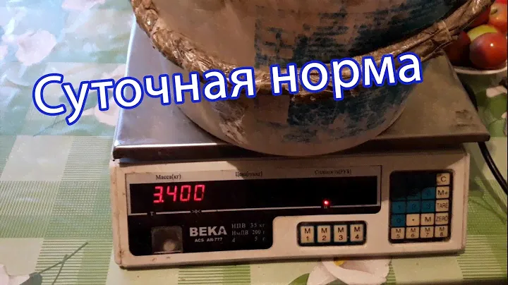 Суточная потребность корма для курей / Взвешиваем корм