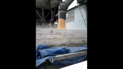 как грузят зерно на элеватори