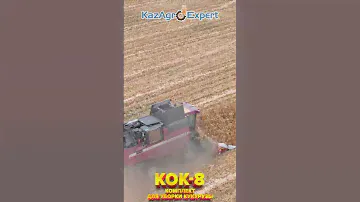 Комплект для уборки кукурузы КОК-8  #казагроэксперт #субсидии #сельхозтехника #viral