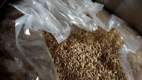 бочки для хранения зерна готовы