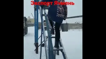 Экспорт Ячмень, Пшеница, Кукуруза.Зерно урожай 2021.Отправка с Морского Порта Астрахань. 🇷🇺