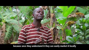 [TRAILER] Ugandan Coffee: Our Culture, Our Heritage, Our Economy