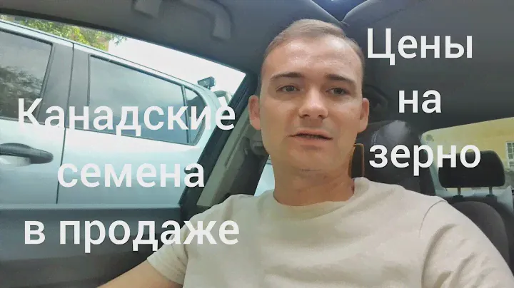 Цены на зерно в Украине 31.07.2022. Результаты анализа на семена