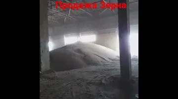 Продажа Пшеница, Ячмень, Кукуруза на экспорт из России.Отправка Новороссийск, Астрахань. Урожай 2021