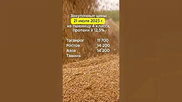 Закупочные цены 21.07.2023г. на пшеницу 4 класса (протеин ≥ 12,5%) в портах Азовского и Чёрного моря