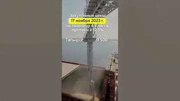 Закупочные цены 17.11.2023г. на пшеницу 4 класса (протеин ≥ 12,5%) в портах Азовского и Чёрного моря