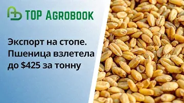 Экспорт на стопе, биржа в панике: пшеница взлетела до 425$/т. TOP Agrobook: обзор аграрных новостей