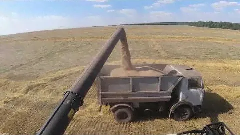 RSM 161. Выгрузка зерна (быстрая выгрузка)