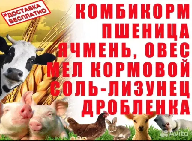 В Коченево комбикорм,зерно для с/х животных и птиц-2