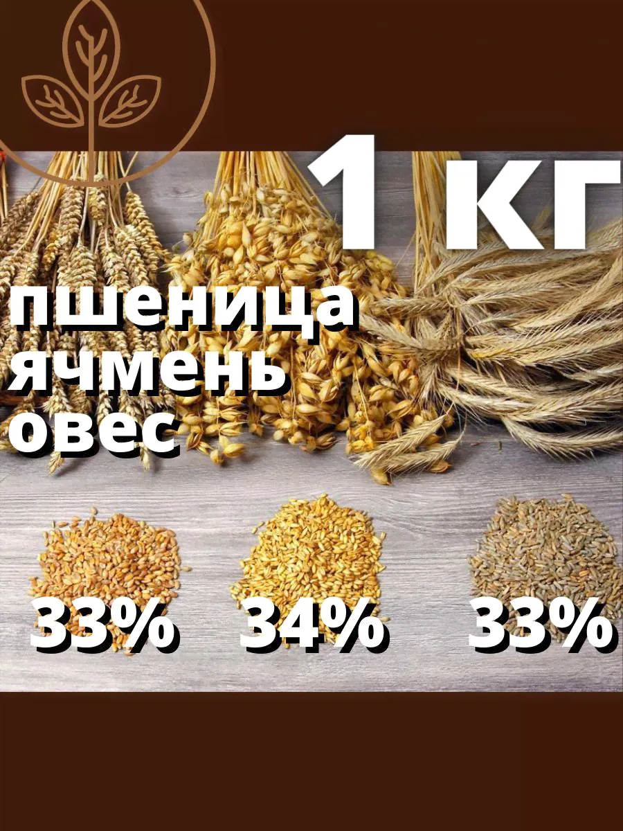 Зерно ячмень пшеница овес