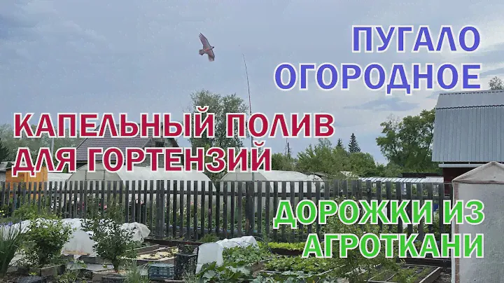 Капельный полив | Дорожки | Отпугиватель птиц