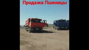 Пшеница на экспорт из России.Урожая 2021.Зерновой Элеватор.Отправка с Новороссийска, морской порт.