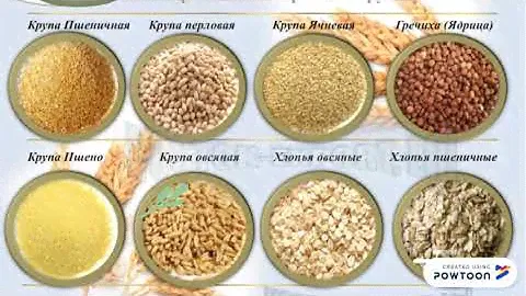 Зерно и продукты его переработки