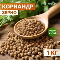 <strong>Кориандр</strong> зерно семена <strong>кориандра</strong> 1000 г целый в зернах orexland-0