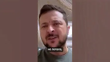 Украинское зерно вместо отправки в бедные страны скормили европейским свиньям