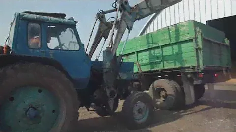 Погрузка зерна в зил 130 трактором мтз80 кун