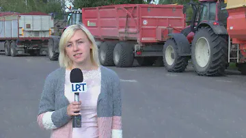 В Латгалии урожай и качество зерна - хорошие