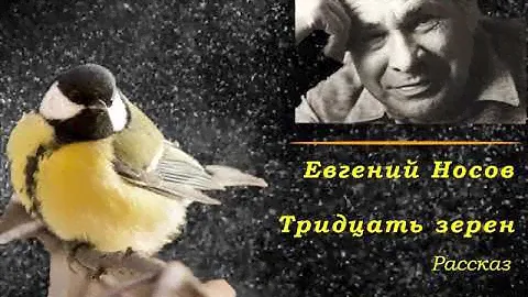 Е. Носов.Тридцать зерен. Рассказ