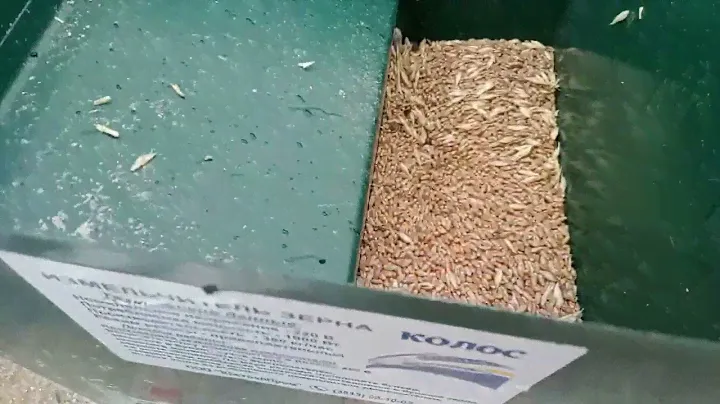 Дән үгу!«Колос». 350 кг/сағ😱 Измельчитель зерна! 🌾👍🏻Grain grinder