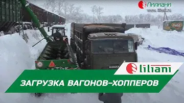 Загрузка вагонов-хопперов с помощью автомобильного перегрузчика МВА-250. Воронежская область, 2016 г