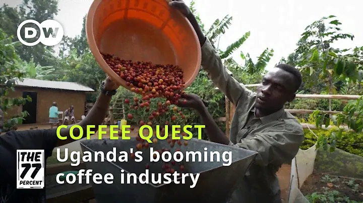 Uganda's coffee farmers strike green gold