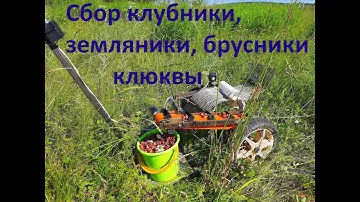 Комбайн для сбора ягод АВТОМАТИ́ЧЕСКИЙ/ Berry picking harvester AUTOMATIС!