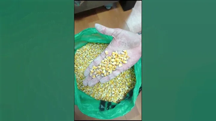Кукуруза 🌽 на продажу 🌽
