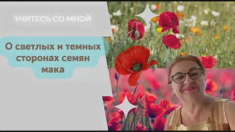 О светлой и темной сторонах семян мака