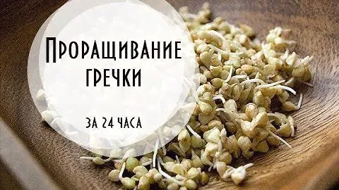 Как прорастить гречку самый простой способ