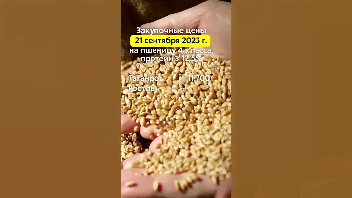 Закупочные цены 27.11.2023г. на пшеницу 4 класса (протеин ≥ 12,5%) в портах Азовского и Чёрного моря