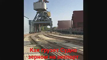 Экспорт Пшеница, Ячмень, Кукуруза с Астрахани
