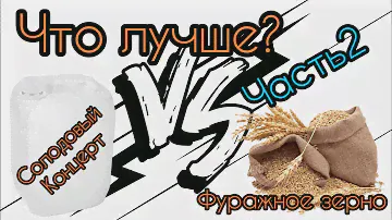 Так кто же лучше? Солодовый концентрат или фуражное зерно.