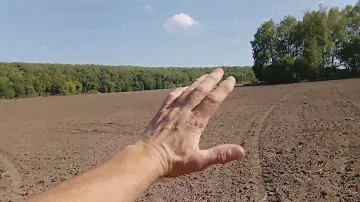 Посев озимой ржи