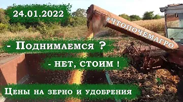 Цены на зерно и удобрение 24.01.2022 #ЧТОПОЧЕМАГРО